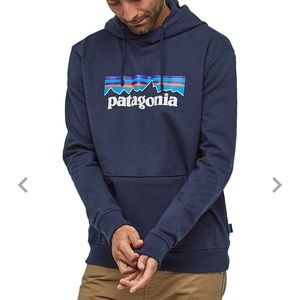 Navy Patagonia Hoodie